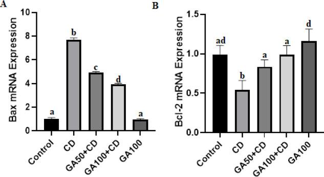 https://cdn.ncbi.nlm.nih.gov/pmc/blobs/19bf/10598816/8c9e954d6fd2/IJBMS-26-1326-g004.jpg