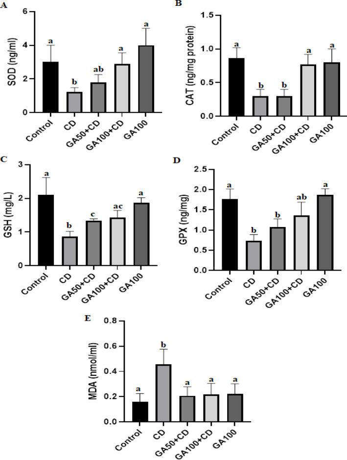 https://cdn.ncbi.nlm.nih.gov/pmc/blobs/19bf/10598816/d87c1ddb4274/IJBMS-26-1326-g001.jpg