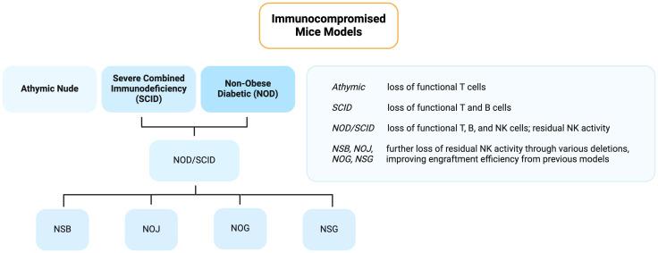 https://cdn.ncbi.nlm.nih.gov/pmc/blobs/19c0/10965562/13d4276624e2/fonc-14-1330254-g001.jpg