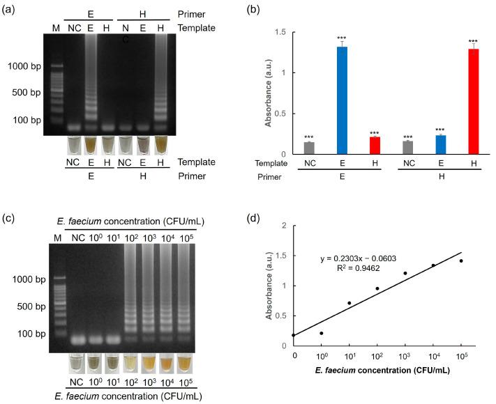 https://cdn.ncbi.nlm.nih.gov/pmc/blobs/19c1/12109928/6b59e2e5169a/biosensors-15-00271-g009.jpg