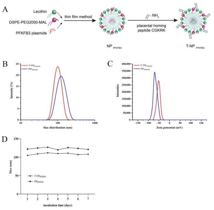 https://cdn.ncbi.nlm.nih.gov/pmc/blobs/19c2/9687907/80af4f0a9c7a/bioengineering-09-00652-g001.jpg