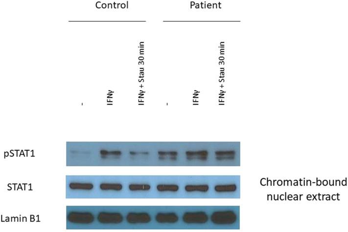 https://cdn.ncbi.nlm.nih.gov/pmc/blobs/19c3/7270203/dae94d9ef1c2/fimmu-11-00967-g0003.jpg