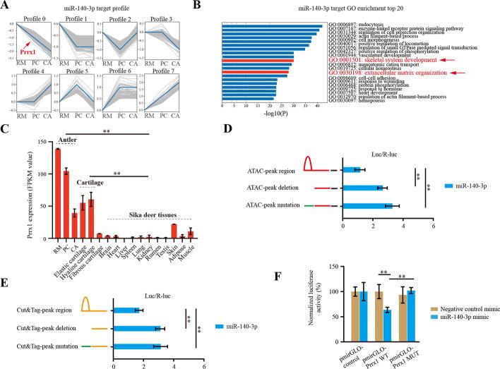 https://cdn.ncbi.nlm.nih.gov/pmc/blobs/19cd/11031908/3b452d567879/11658_2024_573_Fig3_HTML.jpg