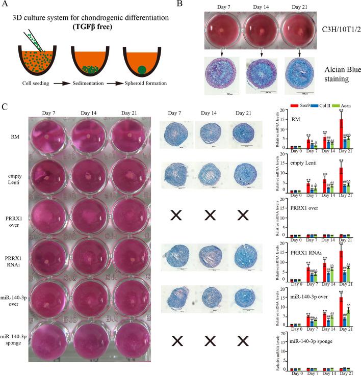 https://cdn.ncbi.nlm.nih.gov/pmc/blobs/19cd/11031908/e94b4add21b8/11658_2024_573_Fig6_HTML.jpg