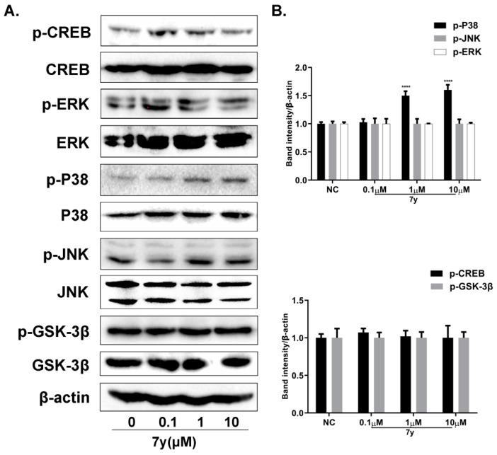 https://cdn.ncbi.nlm.nih.gov/pmc/blobs/19ce/9316487/1a2578ed610c/ijms-23-07959-g010.jpg