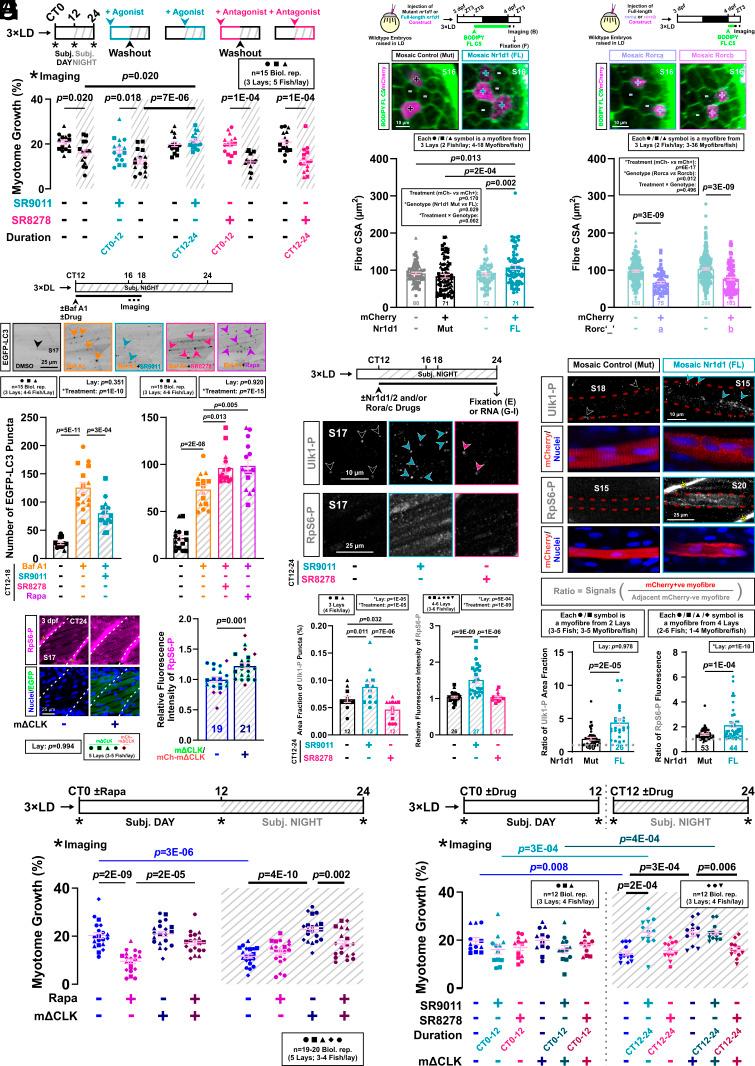 https://cdn.ncbi.nlm.nih.gov/pmc/blobs/19d0/12088385/fa44f17c1501/pnas.2422446122fig06.jpg