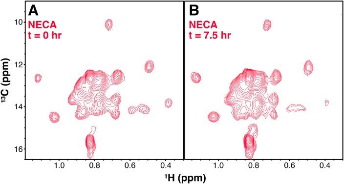 https://cdn.ncbi.nlm.nih.gov/pmc/blobs/19d0/5650471/0bb9fac1c097/elife-28505-fig2-figsupp3.jpg