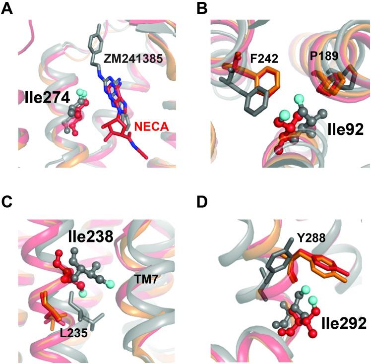 https://cdn.ncbi.nlm.nih.gov/pmc/blobs/19d0/5650471/684bd5c909b0/elife-28505-fig7.jpg