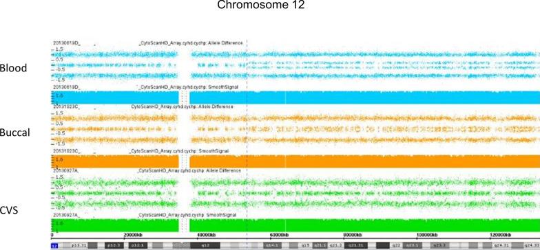 https://cdn.ncbi.nlm.nih.gov/pmc/blobs/19d1/8290618/195c5aea7352/13039_2021_555_Fig13_HTML.jpg
