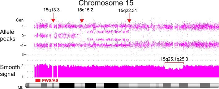 https://cdn.ncbi.nlm.nih.gov/pmc/blobs/19d1/8290618/20f9b716057d/13039_2021_555_Fig12_HTML.jpg