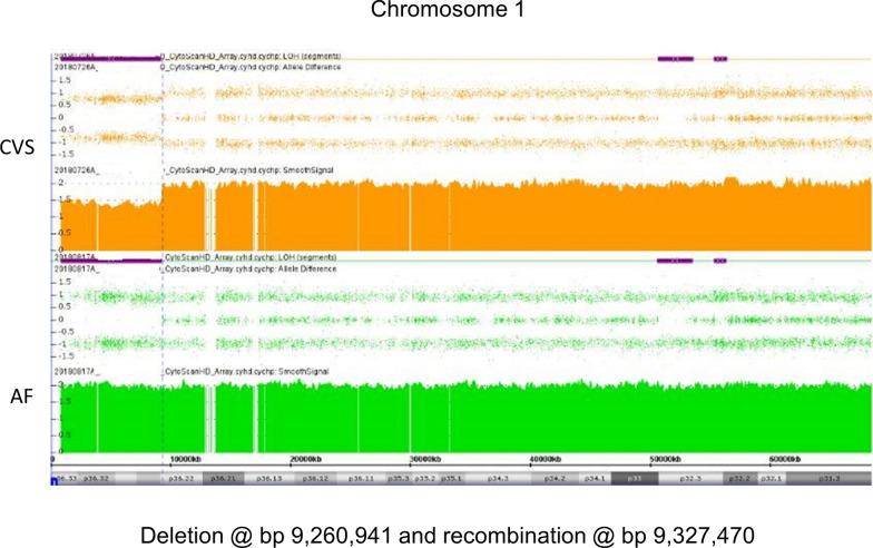 https://cdn.ncbi.nlm.nih.gov/pmc/blobs/19d1/8290618/39df8ca351dd/13039_2021_555_Fig11_HTML.jpg