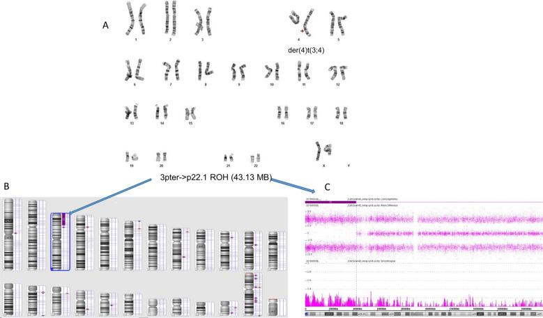 https://cdn.ncbi.nlm.nih.gov/pmc/blobs/19d1/8290618/3d4a04db9c11/13039_2021_555_Fig7_HTML.jpg