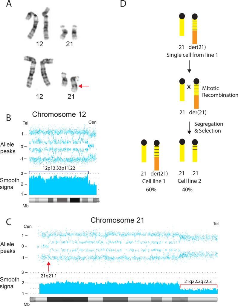 https://cdn.ncbi.nlm.nih.gov/pmc/blobs/19d1/8290618/3d58d89128cb/13039_2021_555_Fig9_HTML.jpg