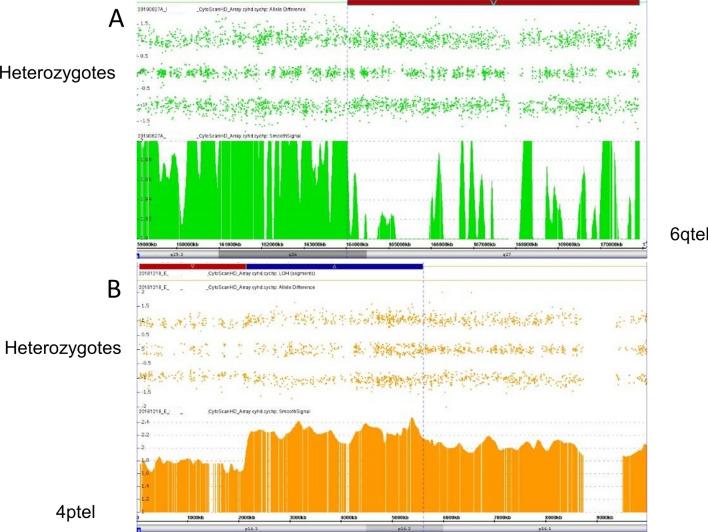 https://cdn.ncbi.nlm.nih.gov/pmc/blobs/19d1/8290618/3f97e21db09a/13039_2021_555_Fig18_HTML.jpg
