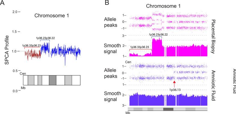 https://cdn.ncbi.nlm.nih.gov/pmc/blobs/19d1/8290618/4af9a25d4026/13039_2021_555_Fig14_HTML.jpg