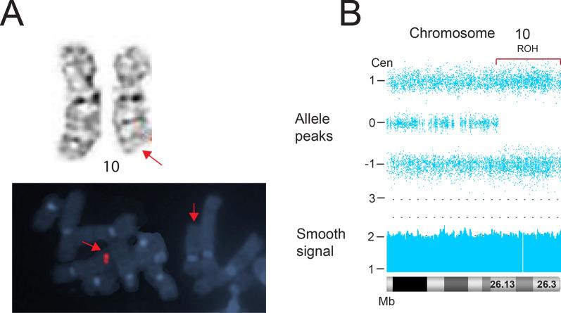 https://cdn.ncbi.nlm.nih.gov/pmc/blobs/19d1/8290618/5b292629684c/13039_2021_555_Fig10_HTML.jpg