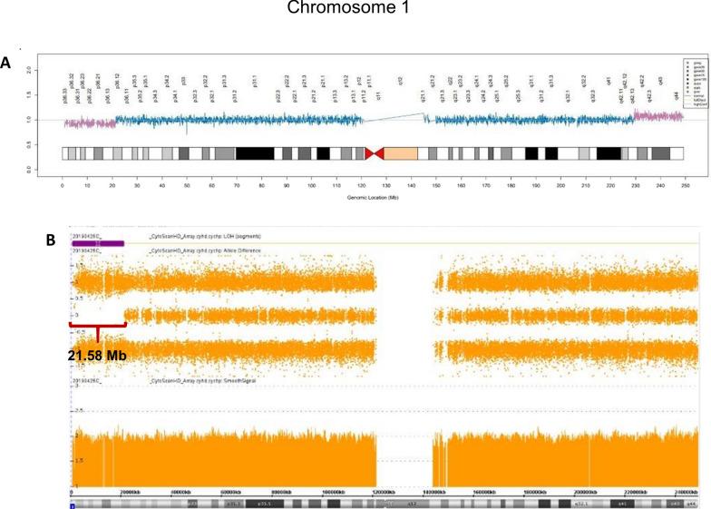 https://cdn.ncbi.nlm.nih.gov/pmc/blobs/19d1/8290618/795e938b050b/13039_2021_555_Fig6_HTML.jpg