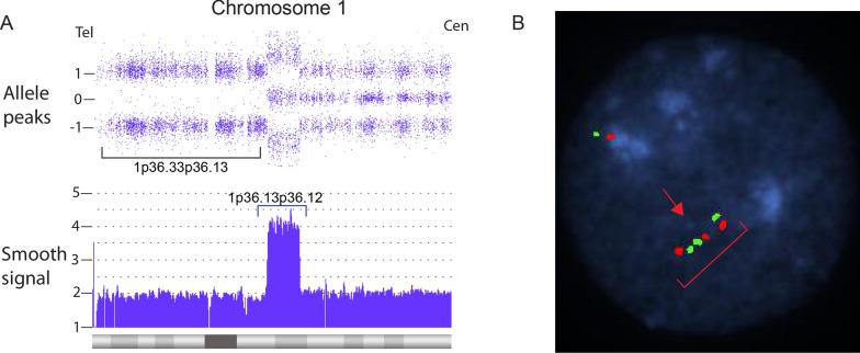 https://cdn.ncbi.nlm.nih.gov/pmc/blobs/19d1/8290618/85616545dec9/13039_2021_555_Fig15_HTML.jpg