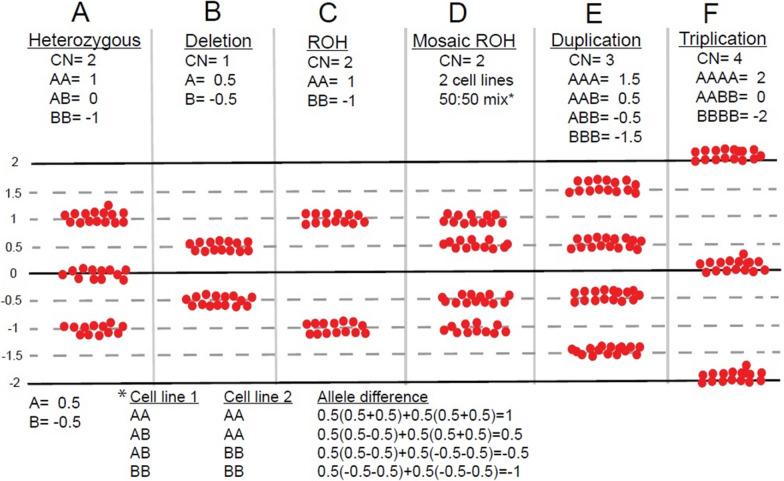 https://cdn.ncbi.nlm.nih.gov/pmc/blobs/19d1/8290618/c7d45a45125c/13039_2021_555_Fig3_HTML.jpg