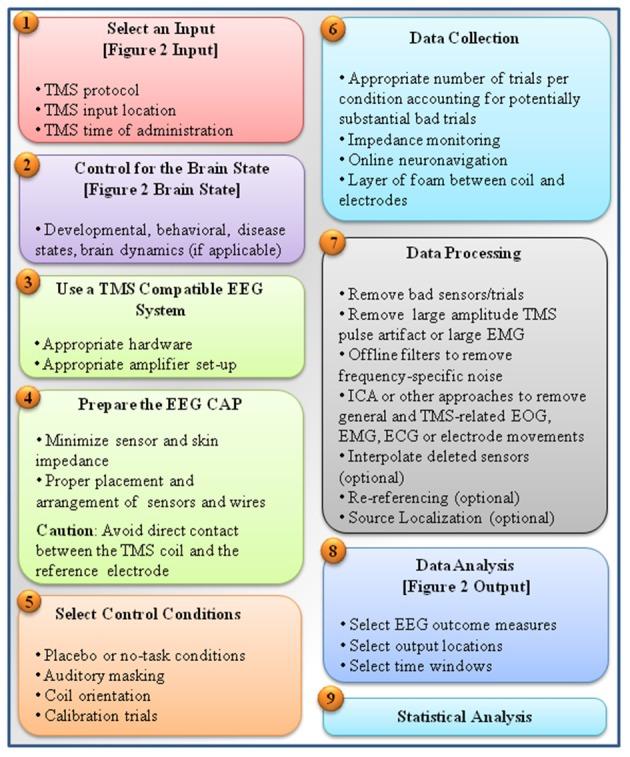 https://cdn.ncbi.nlm.nih.gov/pmc/blobs/19d3/5031704/3081c613dcc8/fncir-10-00073-g0003.jpg