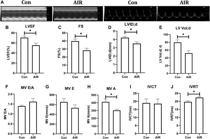 https://cdn.ncbi.nlm.nih.gov/pmc/blobs/19d3/8902255/c77a0c7b4f0d/fphar-13-850735-g001.jpg
