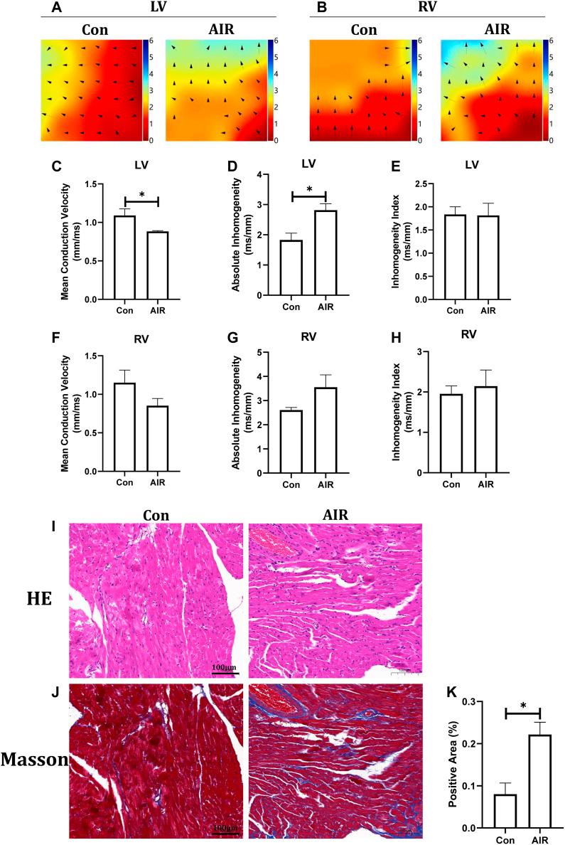 https://cdn.ncbi.nlm.nih.gov/pmc/blobs/19d3/8902255/d320f5a5a04f/fphar-13-850735-g002.jpg