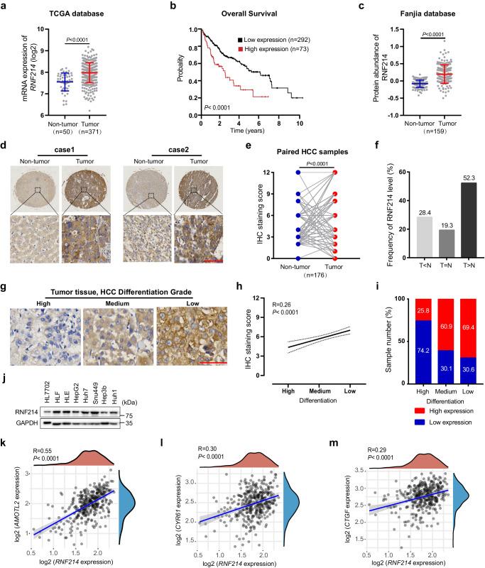 https://cdn.ncbi.nlm.nih.gov/pmc/blobs/19d4/11167002/b1a771e49214/41467_2024_49045_Fig5_HTML.jpg