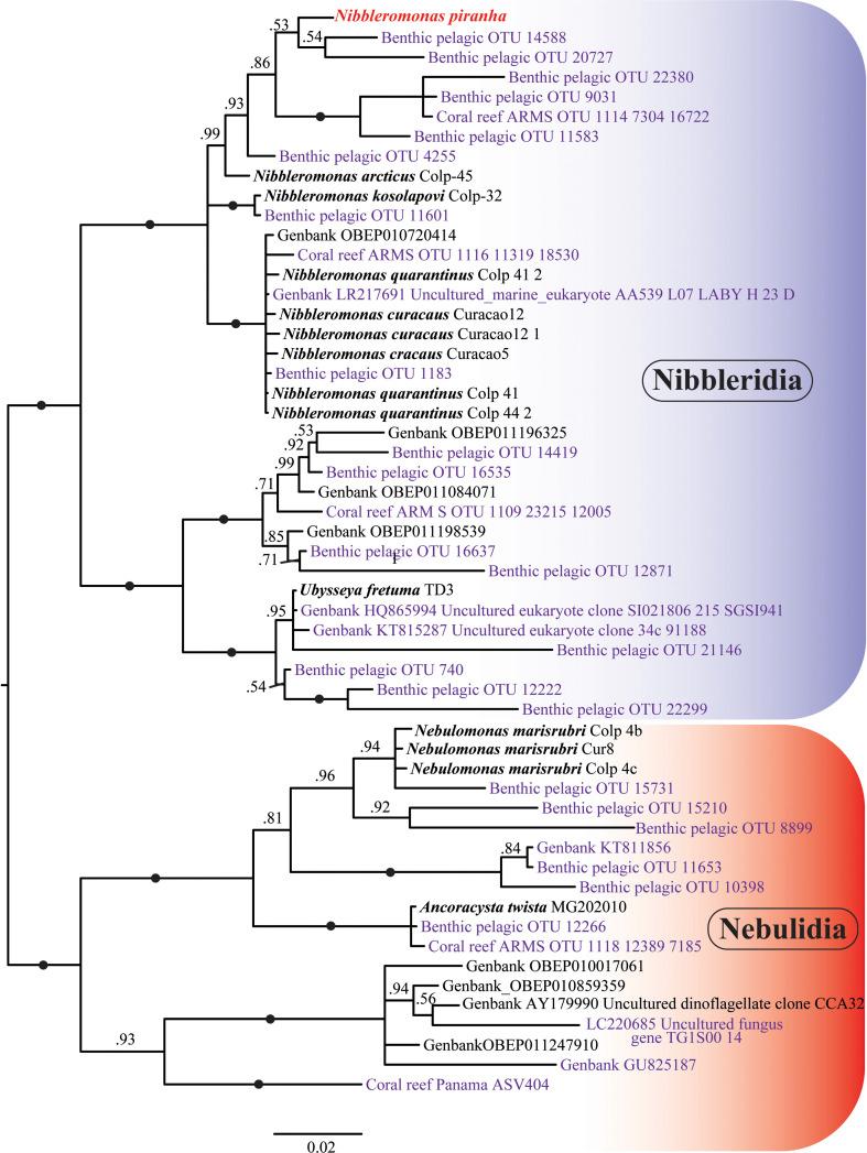 https://cdn.ncbi.nlm.nih.gov/pmc/blobs/19d4/11651884/6743afda8af2/rsob.240158.f009.jpg