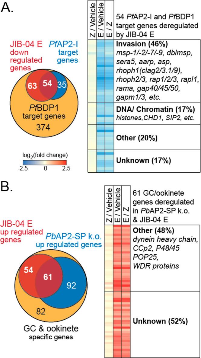 https://cdn.ncbi.nlm.nih.gov/pmc/blobs/19d4/7748244/028505a509ae/id9b00455_0006.jpg