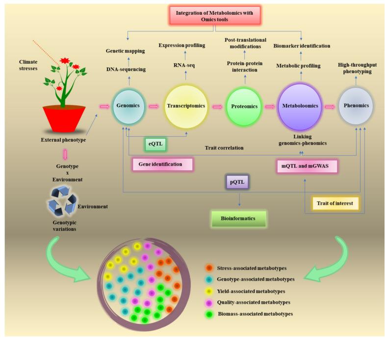 https://cdn.ncbi.nlm.nih.gov/pmc/blobs/19d7/9228725/675843c70542/metabolites-12-00511-g001.jpg