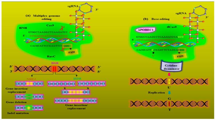 https://cdn.ncbi.nlm.nih.gov/pmc/blobs/19d7/9228725/928b3fb77b25/metabolites-12-00511-g003.jpg