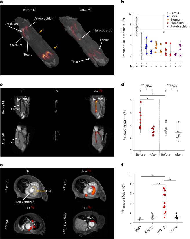 https://cdn.ncbi.nlm.nih.gov/pmc/blobs/19d8/11357992/11f7f2a5d0aa/44161_2022_210_Fig1_HTML.jpg