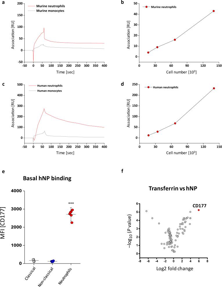 https://cdn.ncbi.nlm.nih.gov/pmc/blobs/19d8/11357992/1bbdb7680ff7/44161_2022_210_Fig14_ESM.jpg
