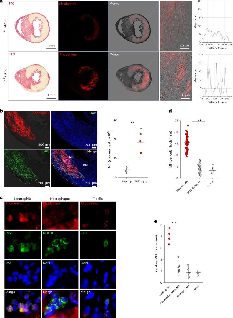 https://cdn.ncbi.nlm.nih.gov/pmc/blobs/19d8/11357992/43877e19a890/44161_2022_210_Fig3_HTML.jpg