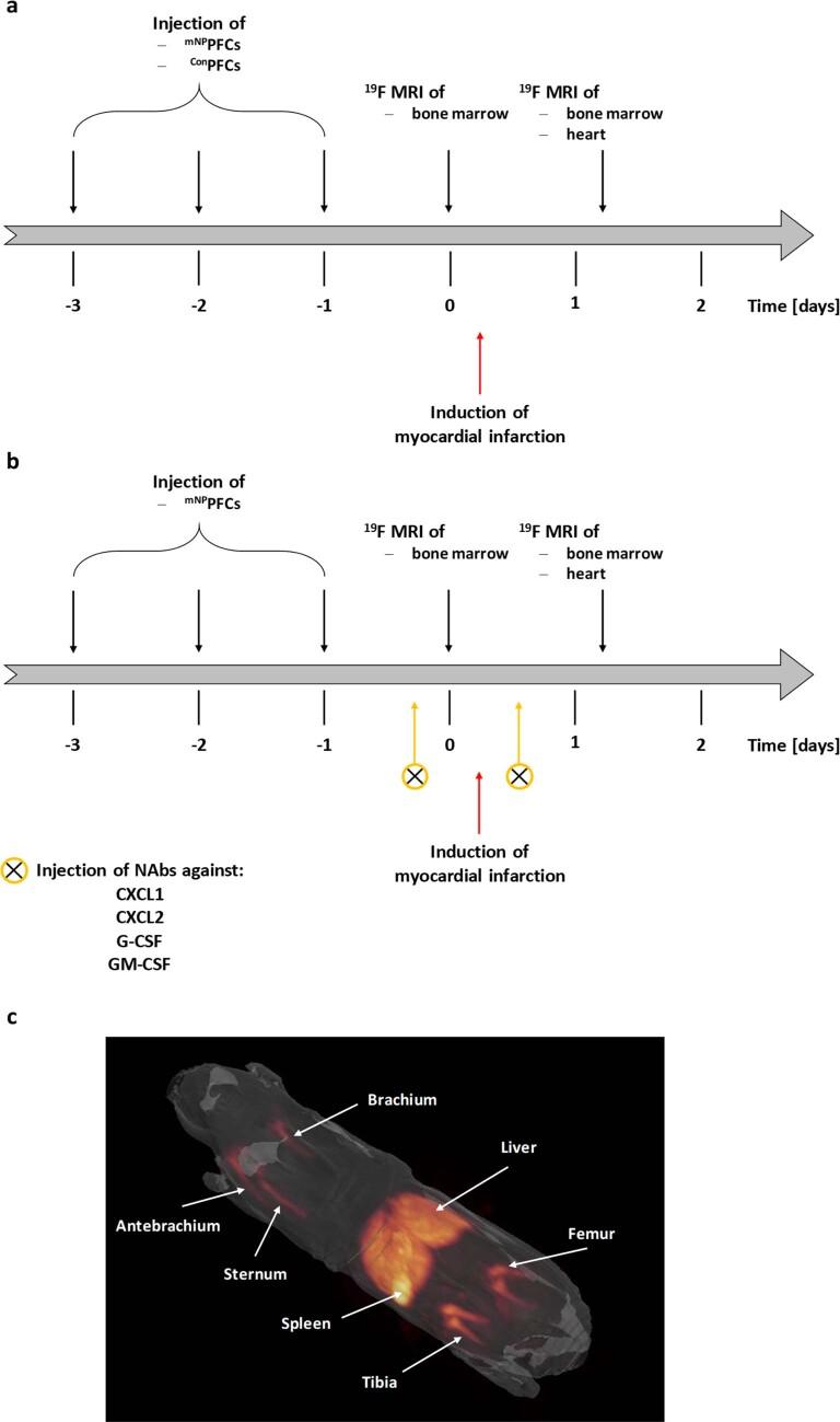 https://cdn.ncbi.nlm.nih.gov/pmc/blobs/19d8/11357992/44c20aa2d93c/44161_2022_210_Fig12_ESM.jpg