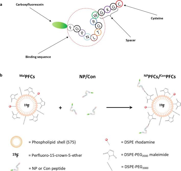 https://cdn.ncbi.nlm.nih.gov/pmc/blobs/19d8/11357992/4984d67c401f/44161_2022_210_Fig9_ESM.jpg
