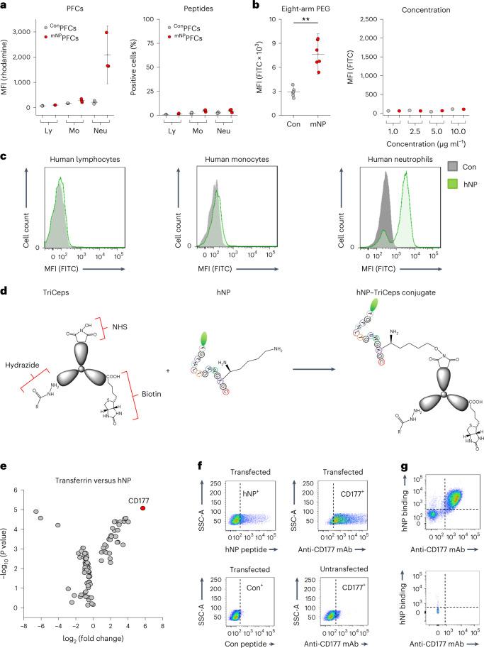 https://cdn.ncbi.nlm.nih.gov/pmc/blobs/19d8/11357992/540ac3392bfe/44161_2022_210_Fig4_HTML.jpg