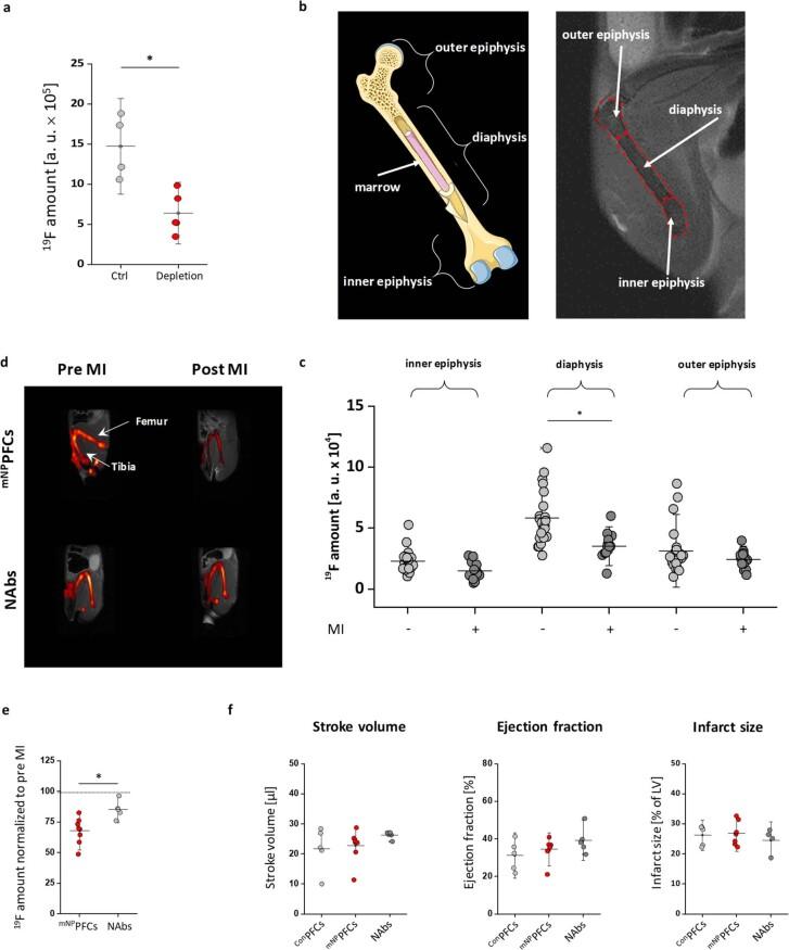 https://cdn.ncbi.nlm.nih.gov/pmc/blobs/19d8/11357992/5473b2894bf2/44161_2022_210_Fig13_ESM.jpg