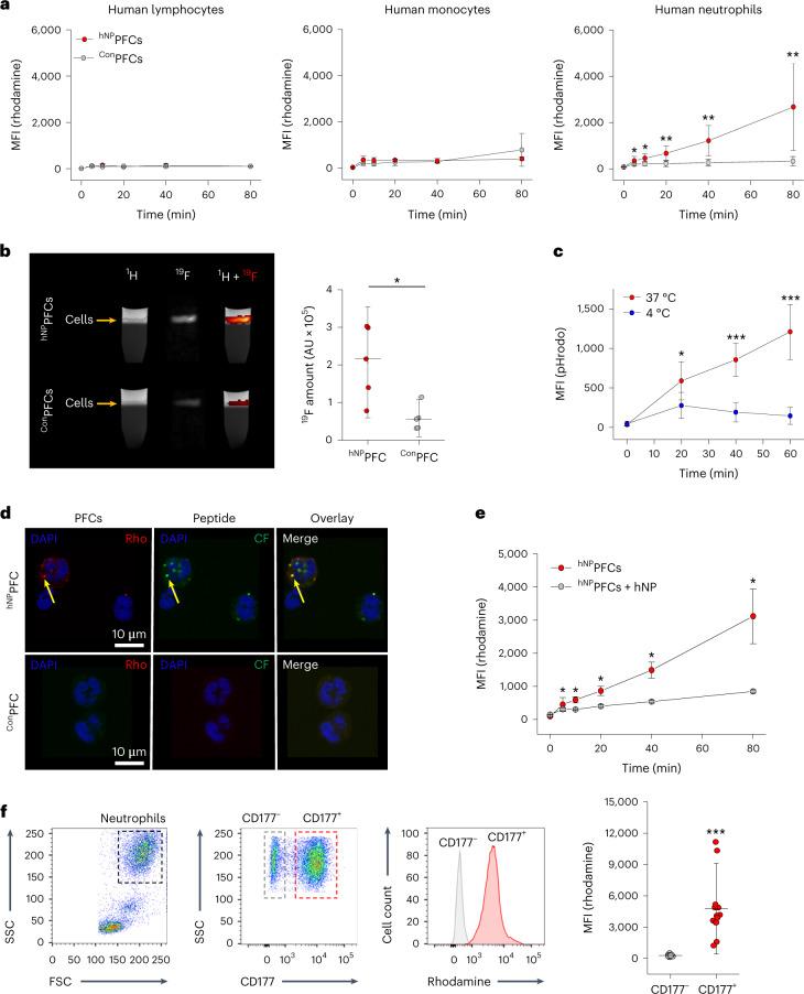 https://cdn.ncbi.nlm.nih.gov/pmc/blobs/19d8/11357992/63b8ac277cb0/44161_2022_210_Fig5_HTML.jpg