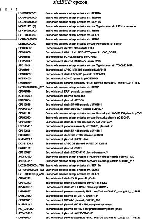 https://cdn.ncbi.nlm.nih.gov/pmc/blobs/19d8/5541697/416d99b607f0/12864_2017_3954_Fig2_HTML.jpg