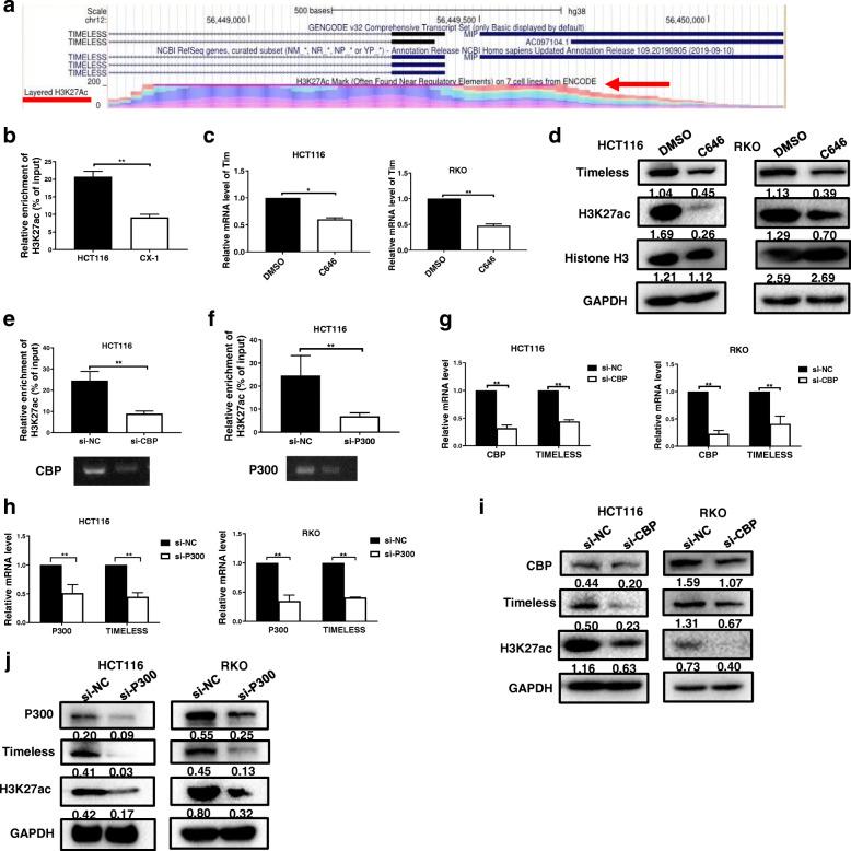 https://cdn.ncbi.nlm.nih.gov/pmc/blobs/19d8/8108341/60321417b3c6/13046_2021_1936_Fig8_HTML.jpg