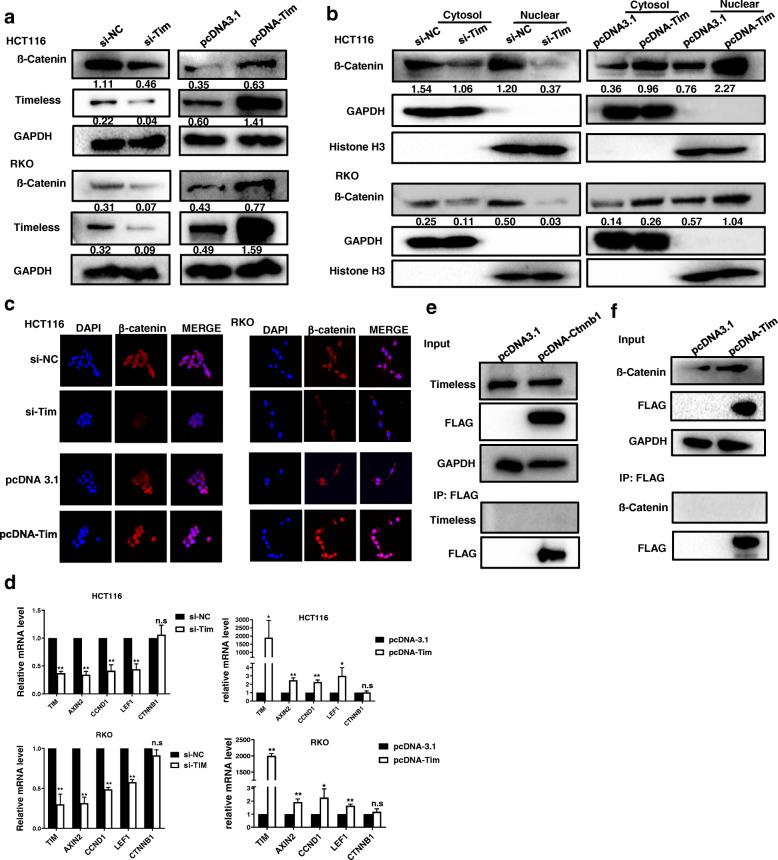 https://cdn.ncbi.nlm.nih.gov/pmc/blobs/19d8/8108341/61b8bd57008e/13046_2021_1936_Fig5_HTML.jpg