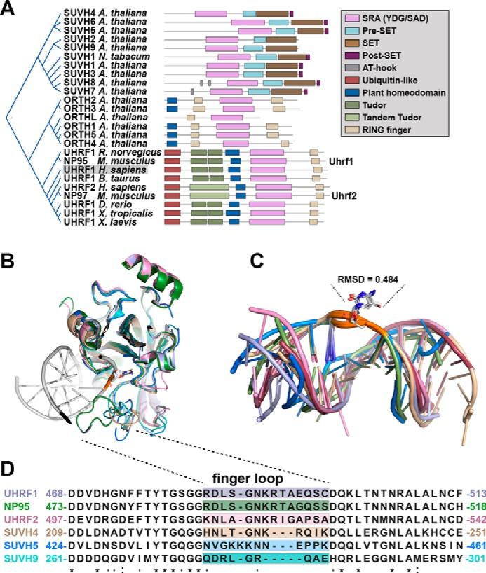https://cdn.ncbi.nlm.nih.gov/pmc/blobs/19d9/6816099/5bd37500863a/zbc9991912850001.jpg