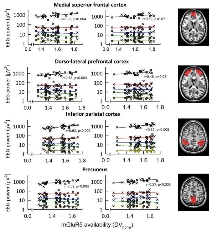https://cdn.ncbi.nlm.nih.gov/pmc/blobs/19dd/5644949/84f867f83e3d/elife-28751-fig3-figsupp1.jpg