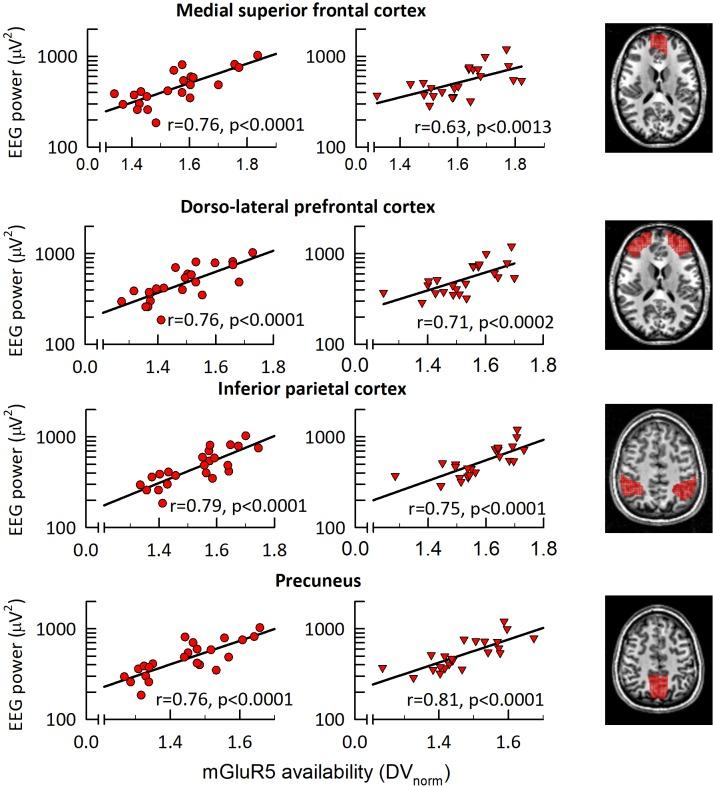 https://cdn.ncbi.nlm.nih.gov/pmc/blobs/19dd/5644949/8dc5ae8a61b0/elife-28751-fig3.jpg