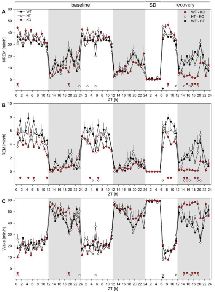 https://cdn.ncbi.nlm.nih.gov/pmc/blobs/19dd/5644949/d6f1c2c5dc6a/elife-28751-fig6-figsupp1.jpg