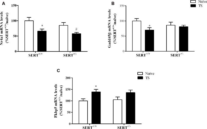 https://cdn.ncbi.nlm.nih.gov/pmc/blobs/19dd/7438747/2f714dfaf32d/fnbeh-14-00142-g0007.jpg