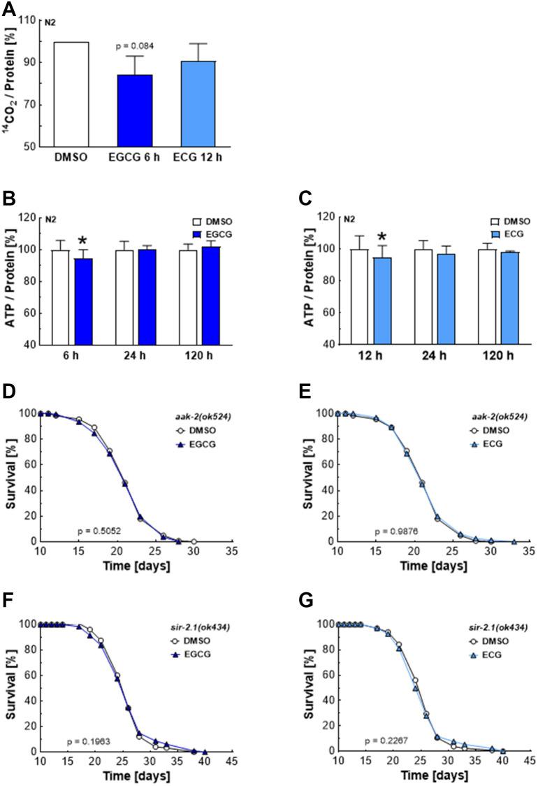 https://cdn.ncbi.nlm.nih.gov/pmc/blobs/19df/8544342/eb1f50ed25e1/aging-13-203597-g003.jpg