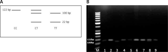https://cdn.ncbi.nlm.nih.gov/pmc/blobs/19e4/5778423/91f74bebf1cc/AMS-14-28749-g001.jpg