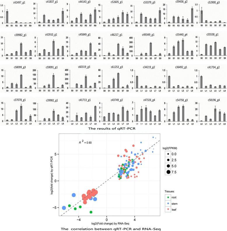 https://cdn.ncbi.nlm.nih.gov/pmc/blobs/19e9/4659204/077fccc2db07/12864_2015_2151_Fig1_HTML.jpg